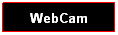 Casella di testo: WebCam
